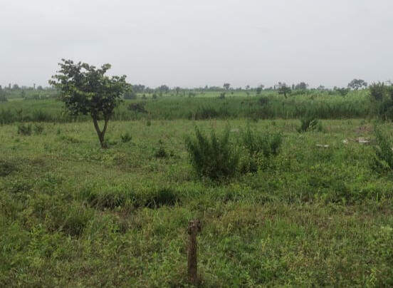 Rehoboth Estate, IDU